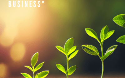 Business Resources: “5 Key Steps to Starting a Successful Small Business”