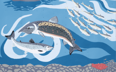 The second annual Pennamaquan Alewife Festival took place in Pembroke, Maine, on May 20th!