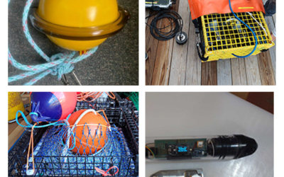 Jonesport Demonstration Day will focus on Alternative Fishing Gear