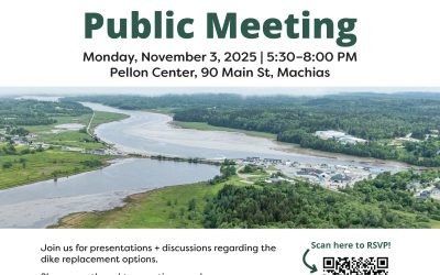 Public Invited to November 3 Meeting on Machias Dike Replacement Options