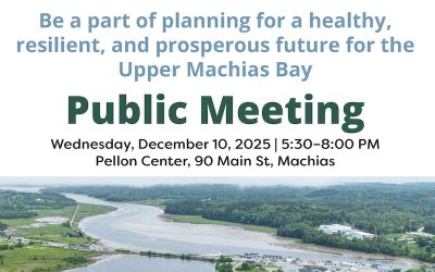 Public Invited to December 10 Meeting on Downtown Machias Flooding and Water Quality