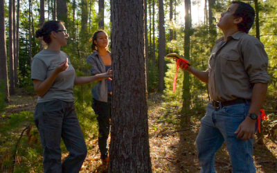 Free Course for Forest Products Sector Careers Now Available Statewide and in On-Demand FormatÂ