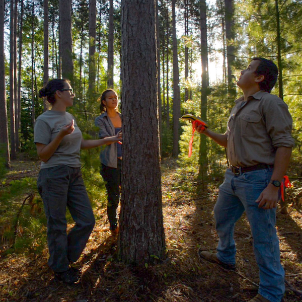 Free Course for Forest Products Sector Careers Now Available Statewide and in On-Demand Format 